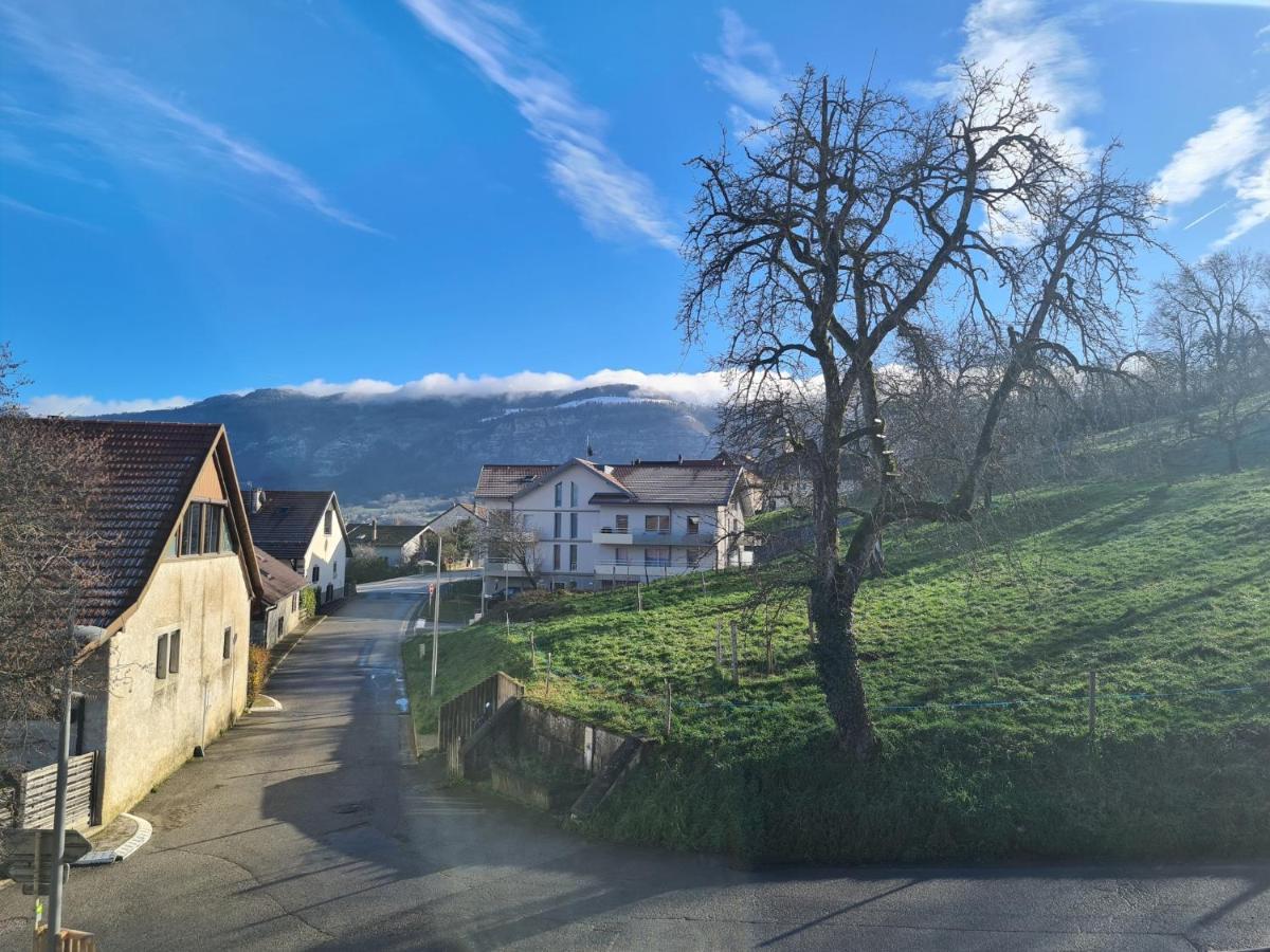 Ferme De La Gibussiere Apartment Presilly  Bagian luar foto